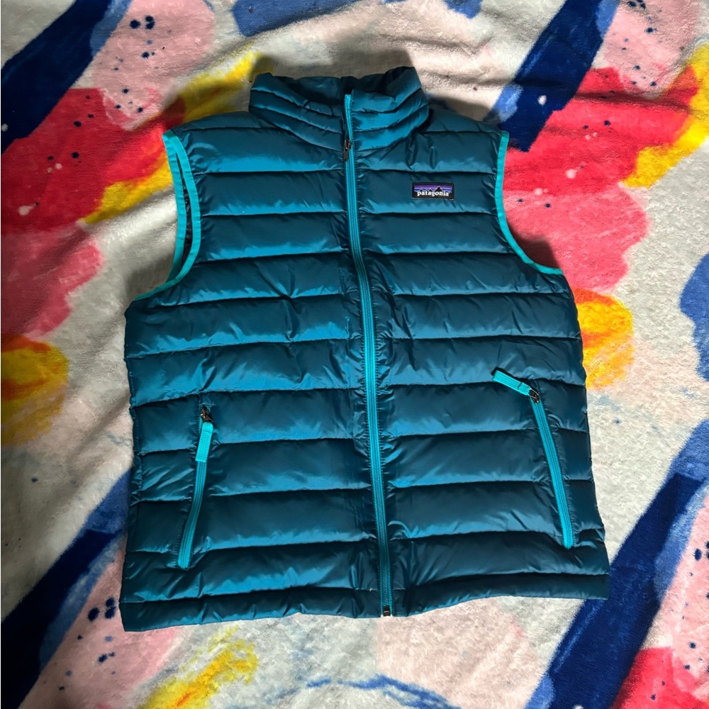 Patagonia down Quilted Vest
